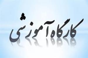 کارگاه تخصصی پویایی شناسی سیستم: سطح اول