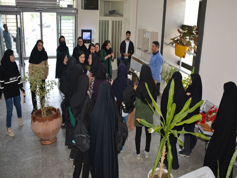 روز دختر