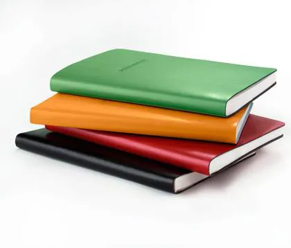Hijacked Journals